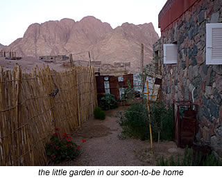 little cottage garden in Saint Catherine, Egypt