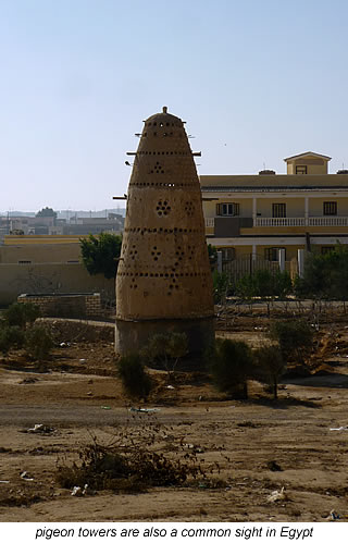 pigeon towers in Egypt, North Africa