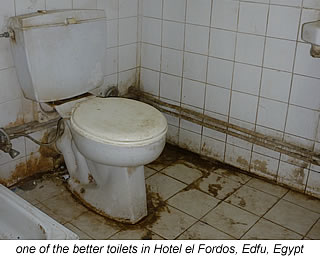 toilet in Hotel el Fordos, Edfu, Egypt