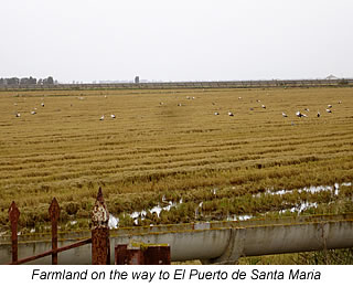 farmland fields with storks in Spain